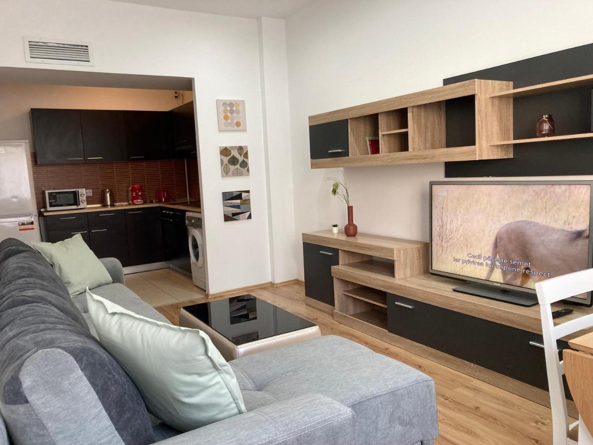 Laroka House Rin Grand Residence Modern Apartment Βουκουρέστι Εξωτερικό φωτογραφία